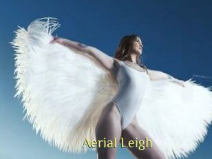 Aerial_Leigh