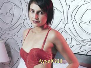 AyselGull