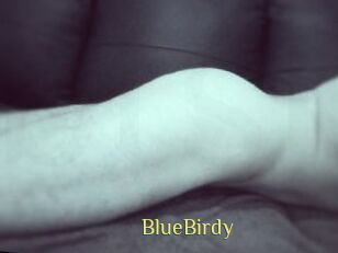 BlueBirdy