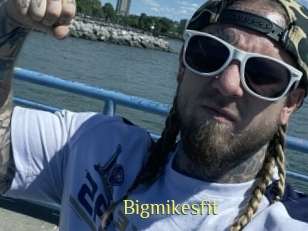 Bigmikesfit