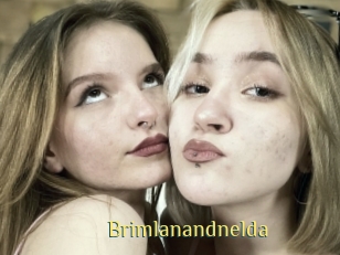 Brimlanandnelda