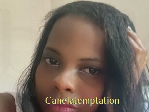 canelatemptation Brutal Spankings
