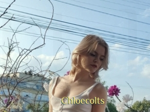 Chloecolts