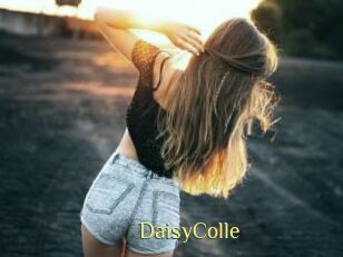 DaisyColle