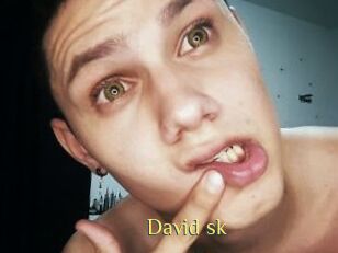 David_sk