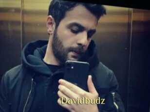 Davidbudz