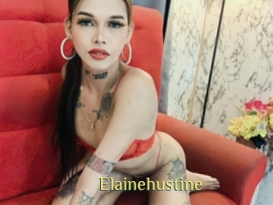 Elainehustine