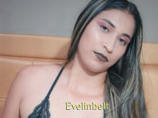 Evelinbelt