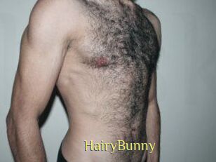 HairyBunny