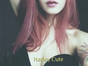 Harley_Cute