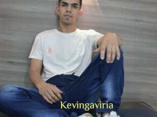 Kevingaviria
