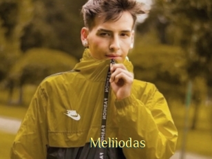 Meliiodas