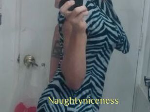 Naughtyniceness