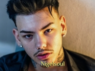 Nigelsoul