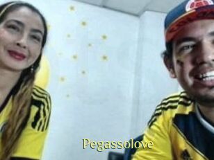 pegasso_love Brutal Spankings
