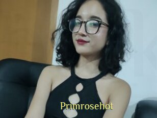Primrosehot