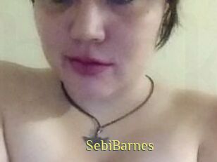 Sebi_Barnes