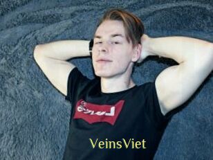 VeinsViet
