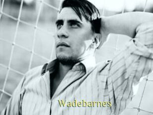 Wadebarnes